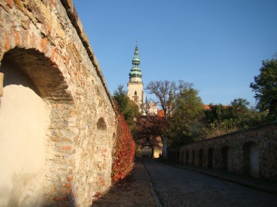 Henryków na Kulturowym Szlaku Dolnego Śląska (ZDJĘCIA) - 66