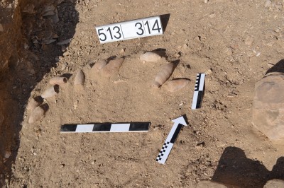 Projekt Asasif: Misja archeologów z Wrocławia - 9