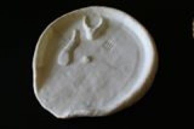 Projekt Asasif: Misja archeologów z Wrocławia - 10