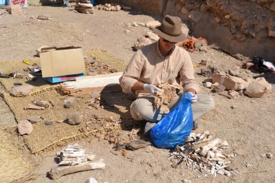 Projekt Asasif: Misja archeologów z Wrocławia - 3