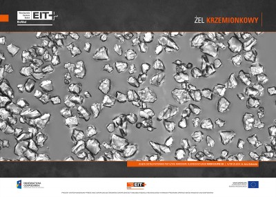 Sztuka spod mikroskopu. Zobaczcie niezwykłe zdjęcia - 0