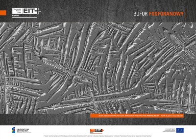 Sztuka spod mikroskopu. Zobaczcie niezwykłe zdjęcia - 1