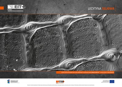 Sztuka spod mikroskopu. Zobaczcie niezwykłe zdjęcia - 3