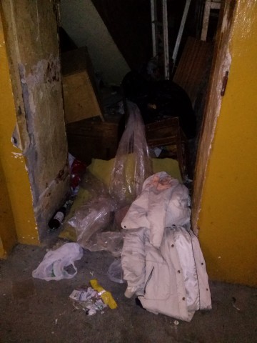 Wrocław po reformie śmieciowej: Obiecali i posprzątali (FOTO) - 5