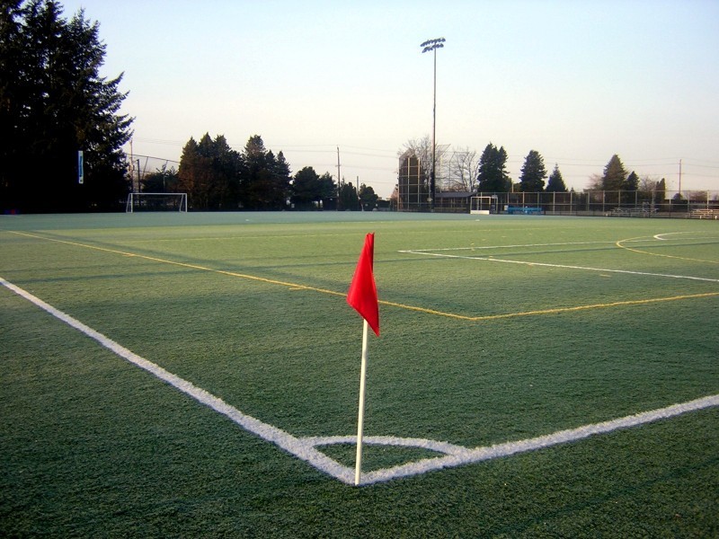 Kandydatka vs. sportowcy: Poszło o ulotki Platformy - Fot. Idlir Fida from Vancouver/Wikimedia Commons