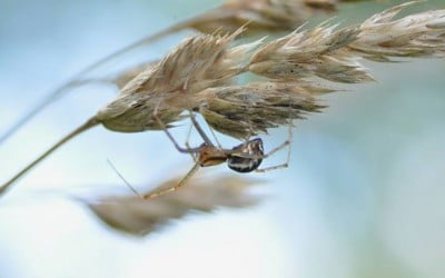 Jesień w obiektywie internautów (MNÓSTWO ZDJĘĆ) - 7