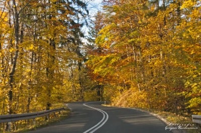 Jesień w obiektywie internautów (MNÓSTWO ZDJĘĆ) - 21