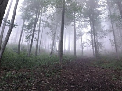 Jesień w obiektywie internautów (MNÓSTWO ZDJĘĆ) - 13
