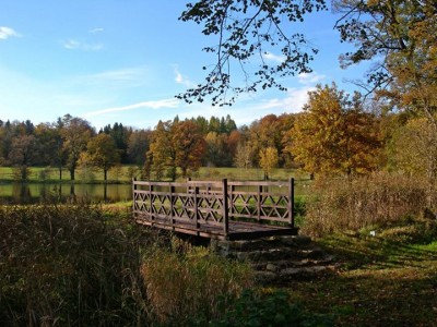 Jesień w obiektywie internautów (MNÓSTWO ZDJĘĆ) - 15
