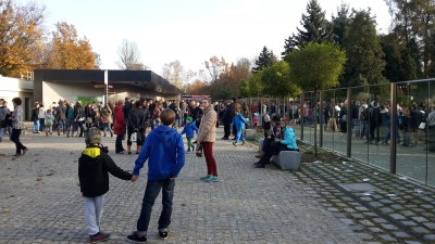 Zoo oblężone. Gigantyczne korki i kolejki przed ogrodem - 10