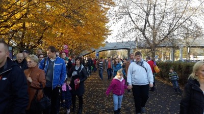 Zoo oblężone. Gigantyczne korki i kolejki przed ogrodem