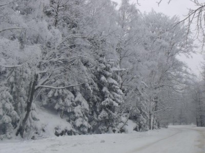 Nadchodzi zima... Będzie sroga czy łagodna? (Prognoza) - 9