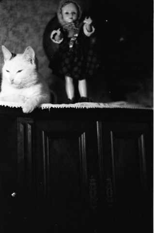 Poznaj fotograficzny świat, którego już nie ma (FILM) - 5