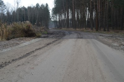Burmistrz otworzył kawałek drogi. Ze wsi do lasu - 14