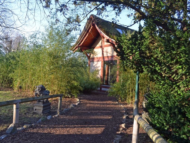 Trochę wiosny w środku zimy w ZOO (GALERIA ZDJĘĆ)