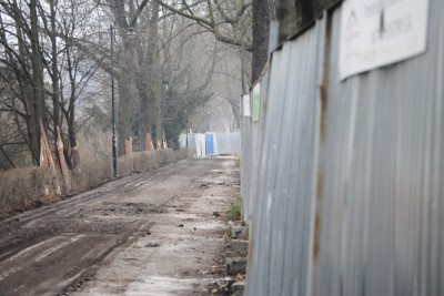 Nowe drzewa i ławki. Tak będą wyglądać okolice NFM - 5