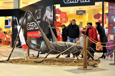 Gigantyczna Biedronka na Bielanach - 8