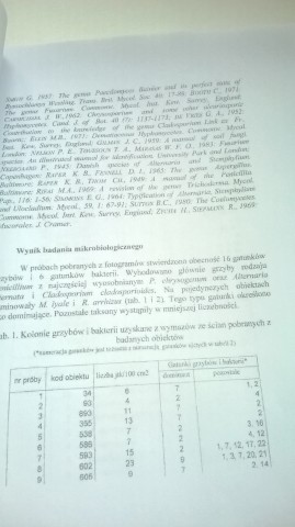 Wyniki ekspertyzy konserwatorskiej zdjęć Marilyn Monroe - 10