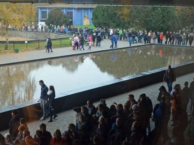 Wrocławskiego zoo patent na sukces (SŁUCHAJ) - 1