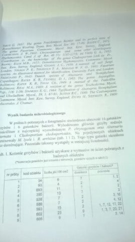 Zdjęcia Marilyn "dobrem narodowym kultury polskiej" - 10