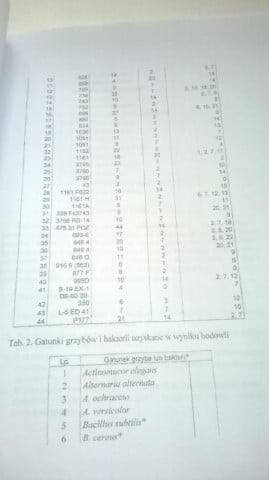 Zdjęcia Marilyn "dobrem narodowym kultury polskiej" - 11