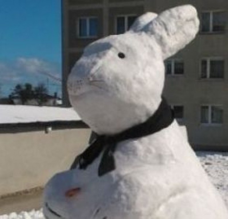 I znowu sypnęło! Przed nami białe święta? (MEMY) - fot. Facebook