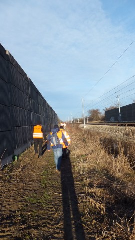 Urzędnicy znów przed sądem. Niedoszły operator Dolnośląskiej Sieci Szkieletowej złoży pozew - 1