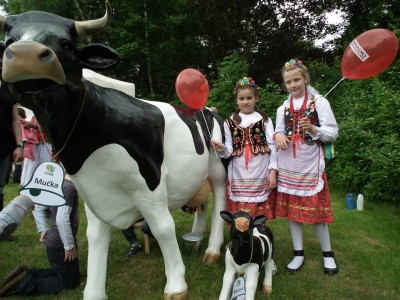 Dolnośląska Wieś Zaprasza - 15