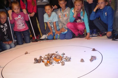 Najszybsze ślimaki ścigały się w Walimiu. Padł rekord świata? - 4