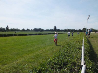 V Piknik Olimpijski Wrocławia i Dolnego Śląska - 8