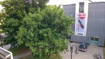 Kilka dni temu dowiedzieli się, że pod ich oknami stanie biurowiec - 0