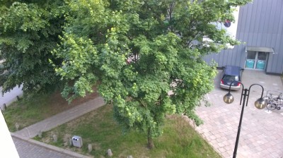 Kilka dni temu dowiedzieli się, że pod ich oknami stanie biurowiec - 8