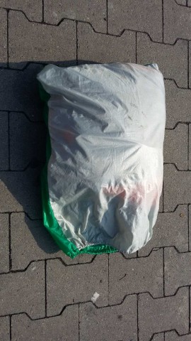 Zgubił sprzęt, ale pobił rekord świata. Szuka znalazcy (FOTO) - 3
