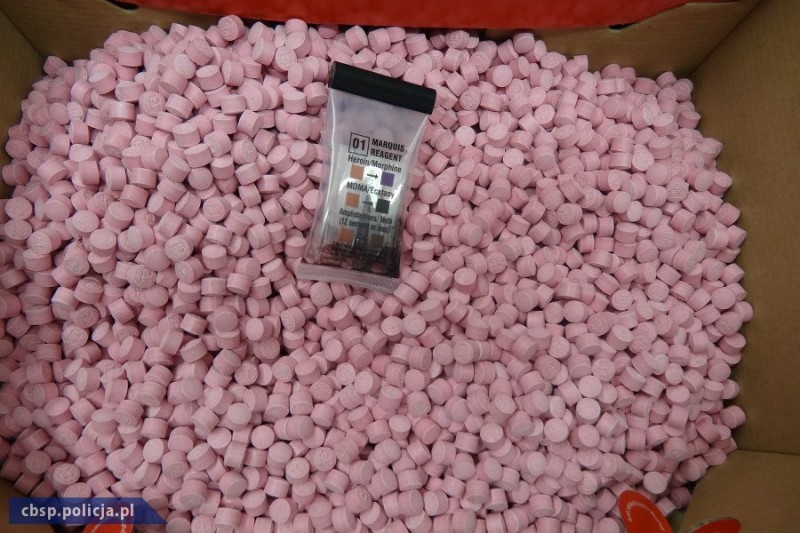 50 kg amfetaminy i 10 tys. tabletek extasy w wieprzowinie – fot. www.dolnoslaska.policja.gov.pl
