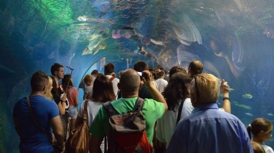 Wrocław: Wielkie święto w ogrodzie zoologicznym (FOTO)