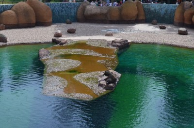 Wrocław: Wielkie święto w ogrodzie zoologicznym (FOTO) - 1