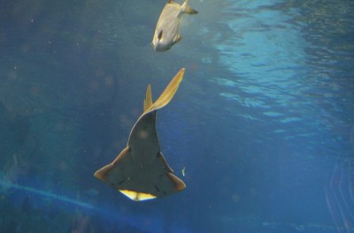 Wrocław: Wielkie święto w ogrodzie zoologicznym (FOTO) - 4