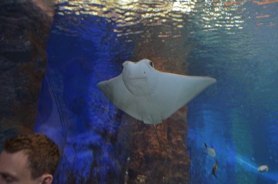Wrocław: Wielkie święto w ogrodzie zoologicznym (FOTO) - 6