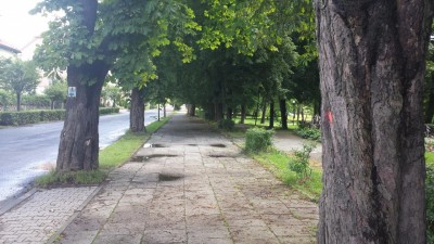 Bitwa o drzewa odłożona do niedzieli - 2