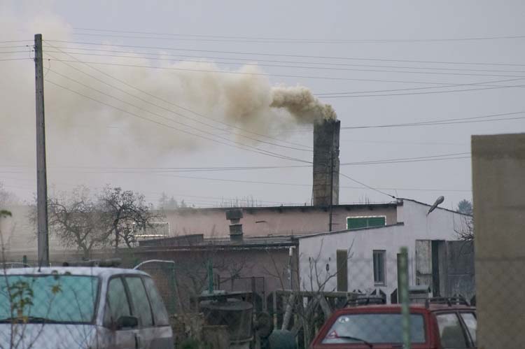 Kurnik widmo w dolnośląskiej wsi (Posłuchaj) - Dym zatruwa życie okolicznym mieszkańcom