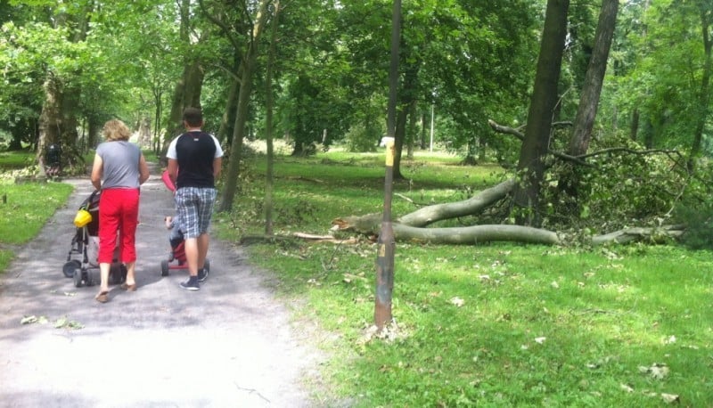 Wbrew ostrzeżeniom spacerują po zniszczonych parkach - fot. Elżbieta Osowicz, Wroclaw.pl