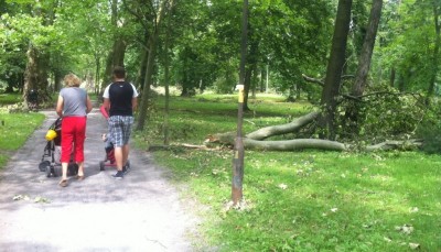 Wbrew ostrzeżeniom spacerują po zniszczonych parkach