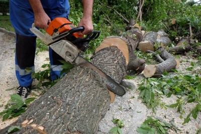 Wbrew ostrzeżeniom spacerują po zniszczonych parkach - 0