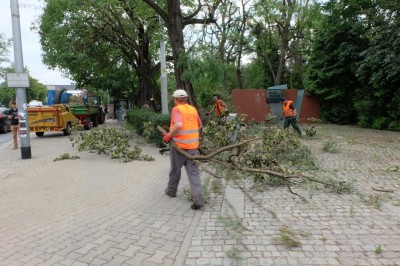 Wbrew ostrzeżeniom spacerują po zniszczonych parkach - 9