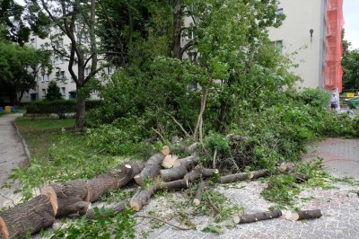 Wbrew ostrzeżeniom spacerują po zniszczonych parkach - 1