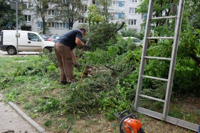 Wbrew ostrzeżeniom spacerują po zniszczonych parkach - 4