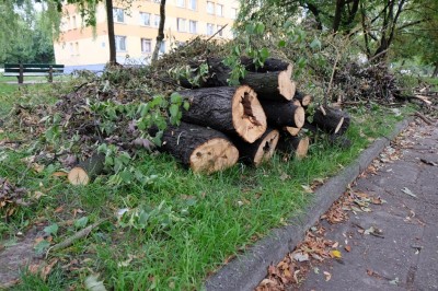 Wbrew ostrzeżeniom spacerują po zniszczonych parkach - 5