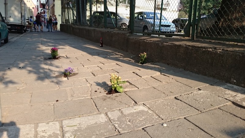 Dziura na dziurze, więc posadzili kwiatki (ZOBACZ ZDJĘCIA)