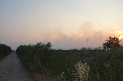 Pożar w Świniarach (ZOBACZ ZDJĘCIA) - 9