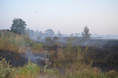 Pożar w Świniarach (ZOBACZ ZDJĘCIA) - 10